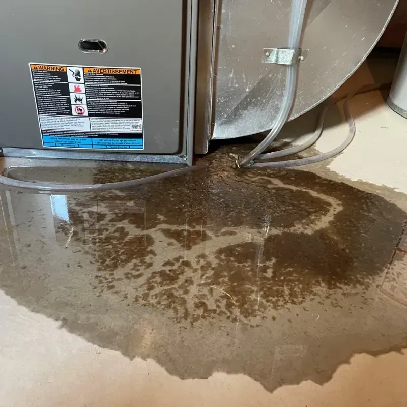 Appliance Leak Cleanup in Washington County, VT